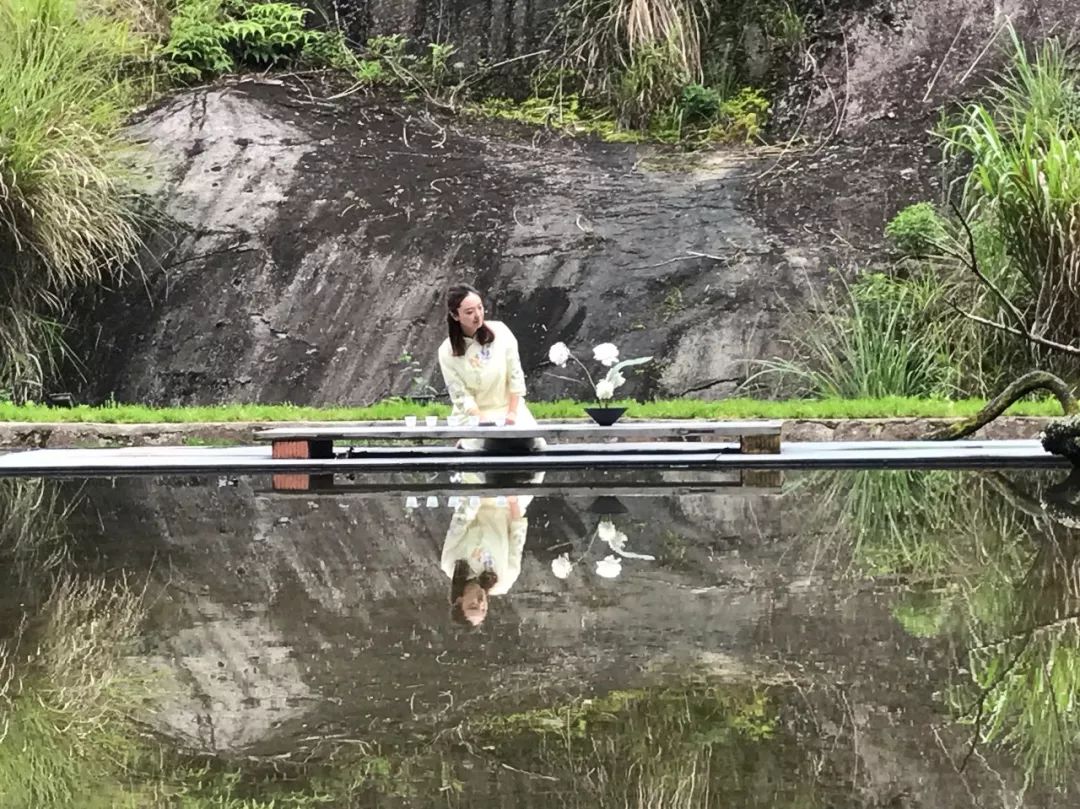 来一场远离都市的心灵茶会